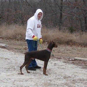 Meet your Posher, Bill